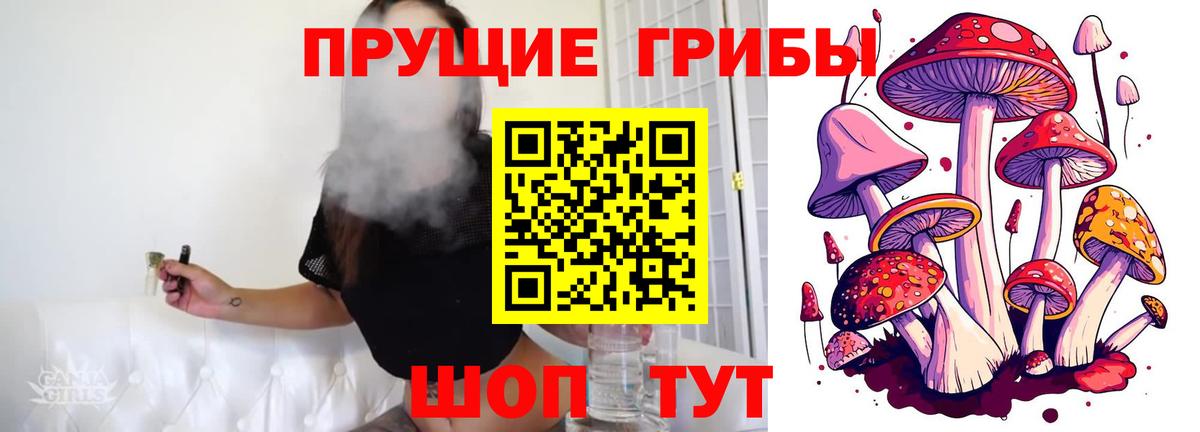 Псилоцибиновые грибы Psilocybe Усинск